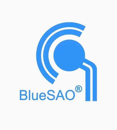 BlueSAO Co., Ltd