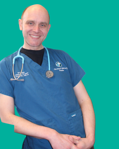 Ian Wright - Mount Veterinary Practice