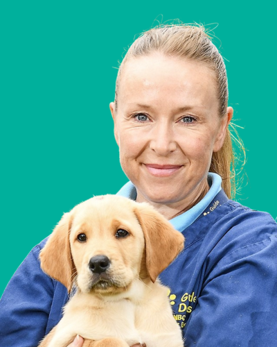 Rachel Moxon - Guide Dogs UK
