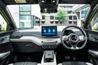 BYD DOLPHIN SURF