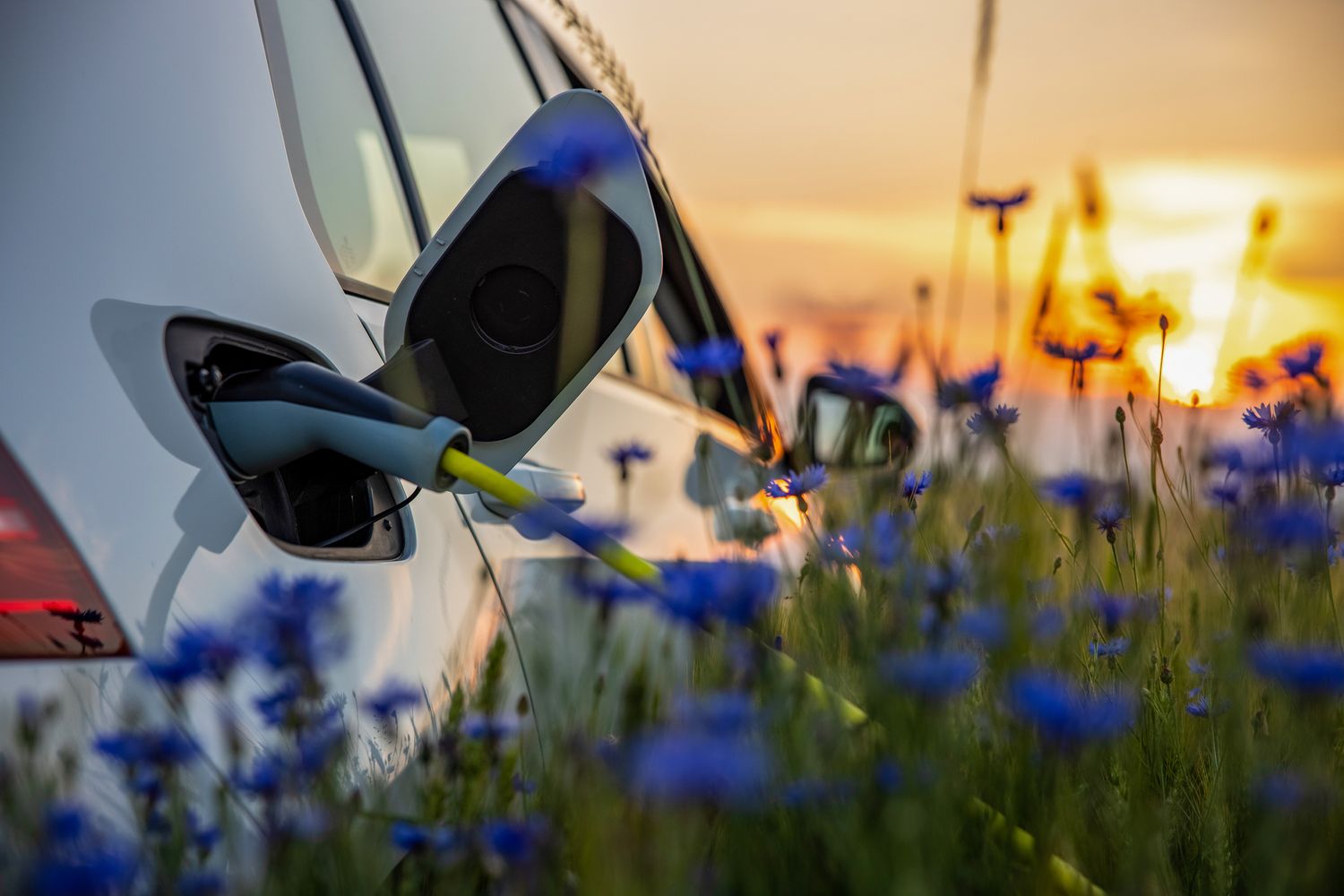 Cover image - Novuna Vehicle Solutions
