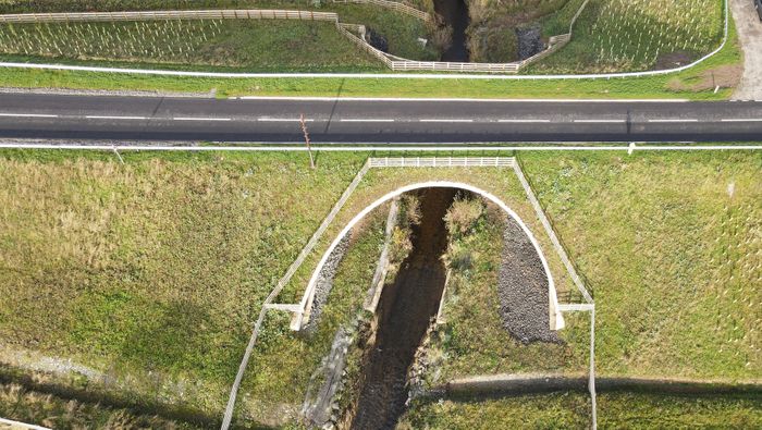 ASSET BEBO GREEN BRIDGE