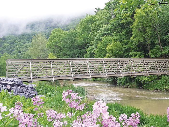 ASSET FRP BRIDGES, DECKS & CANTILEVER SIDEWALKS