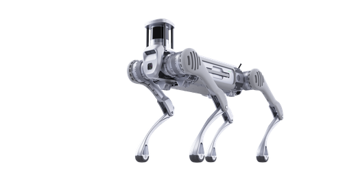 B2 Quadruped Robot