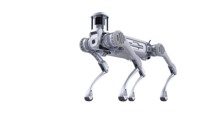 B2 Quadruped Robot