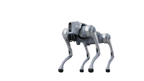 Go2 Quadruped Robot