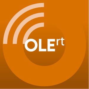 OLErt Overhead Line Equipment in Real Time