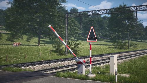 Schweizer Electronic Flex Control