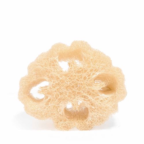 Natural sponge