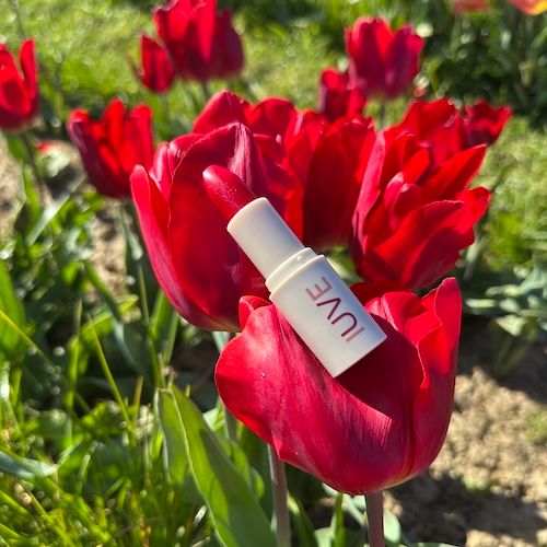 IUVE Slimline Multi-Balm High SPF Colour Range