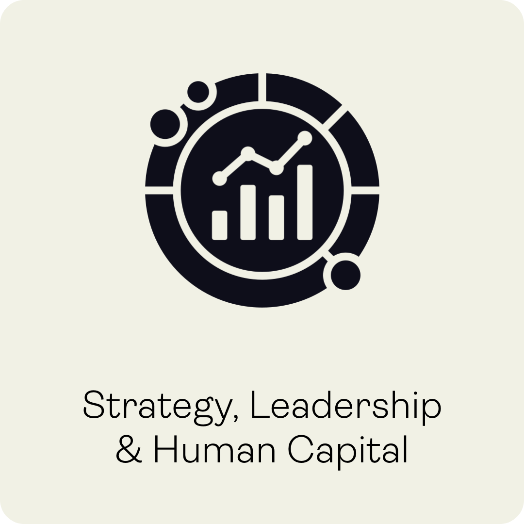 Strategy, Leadership & Human Capital