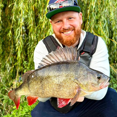 London Perch Finder