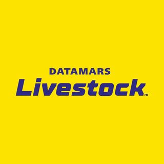 Exhibitor profile image for Datamars Livestock