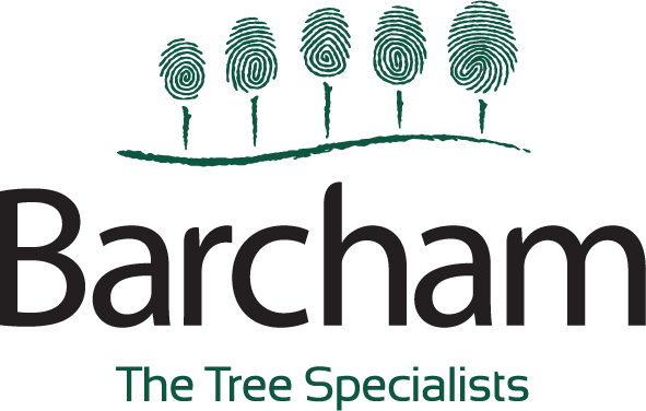 Barcham Trees