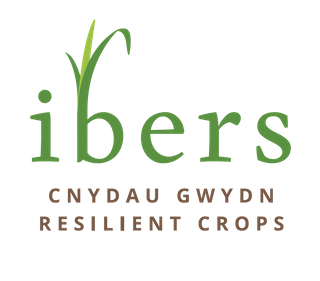 Exhibitor profile image for IBERS Aberystwyth University