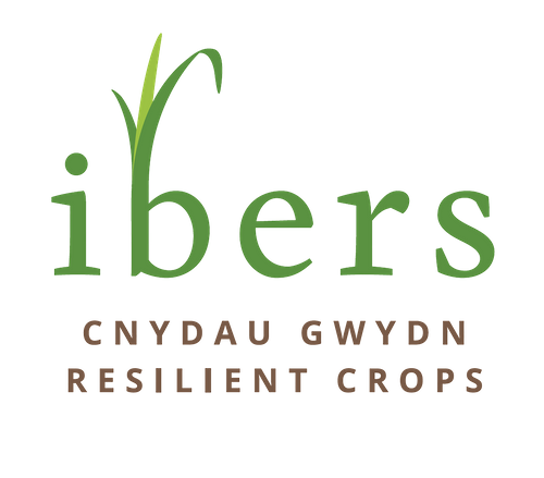 IBERS Aberystwyth University