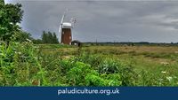 Company name - Paludiculture - community of practice