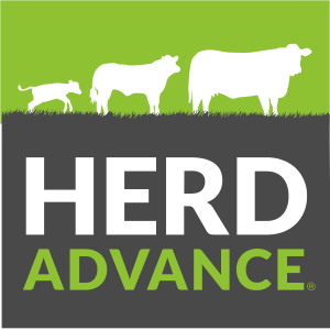 Herd Advance