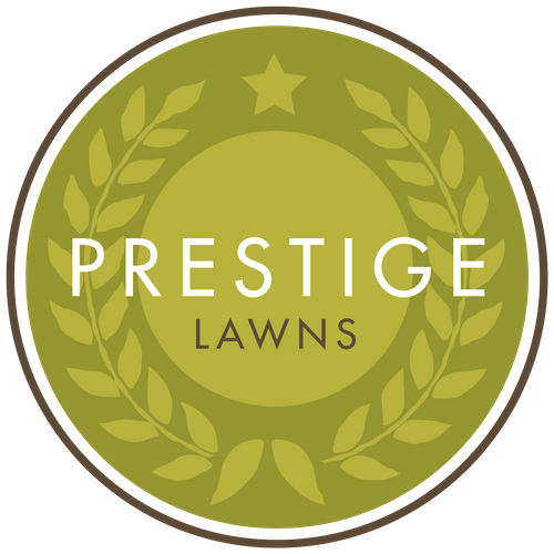 Prestige Lawns