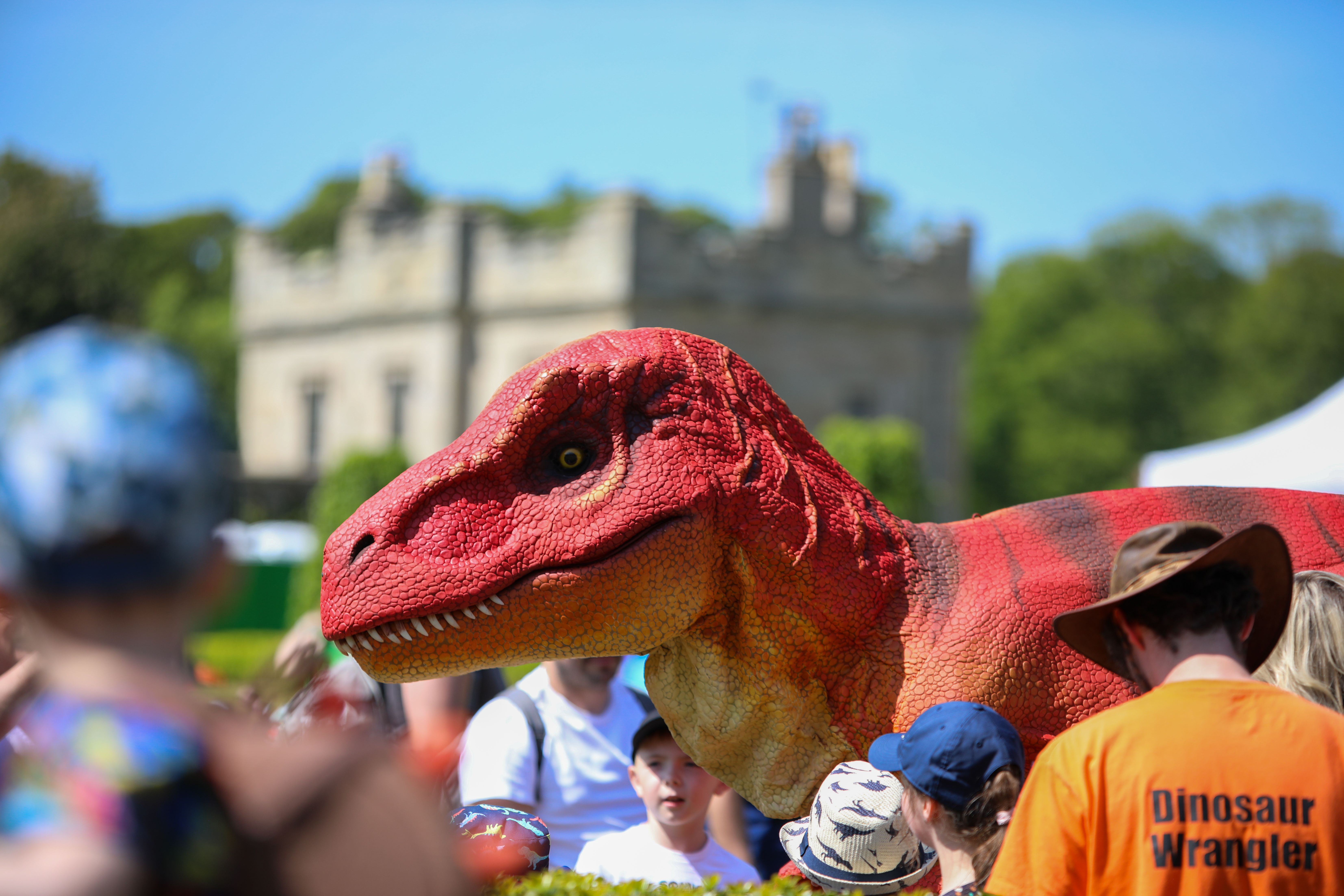 Visit RentaDinosaur  - spotlight image1