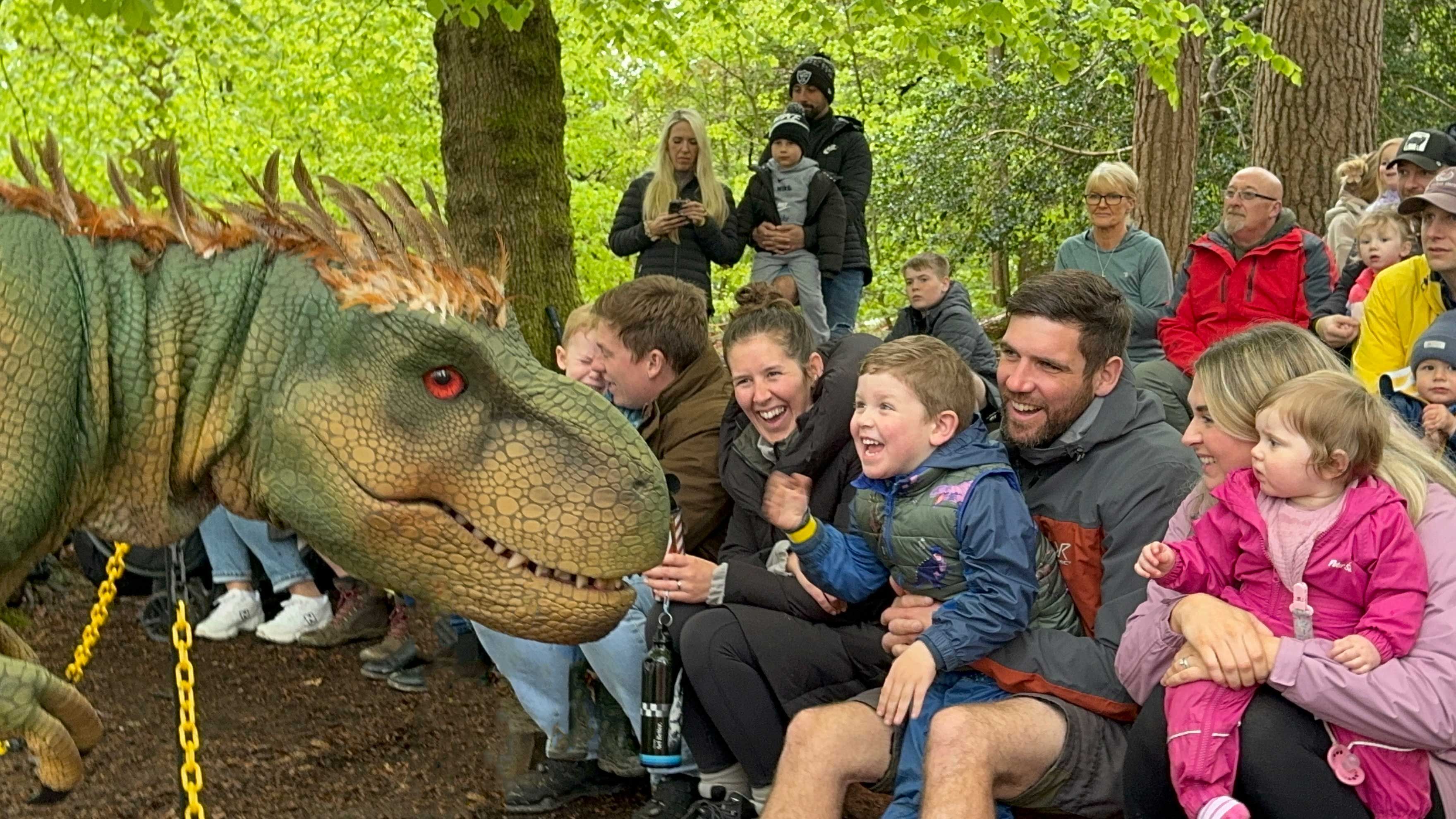 Visit RentaDinosaur  - spotlight image2