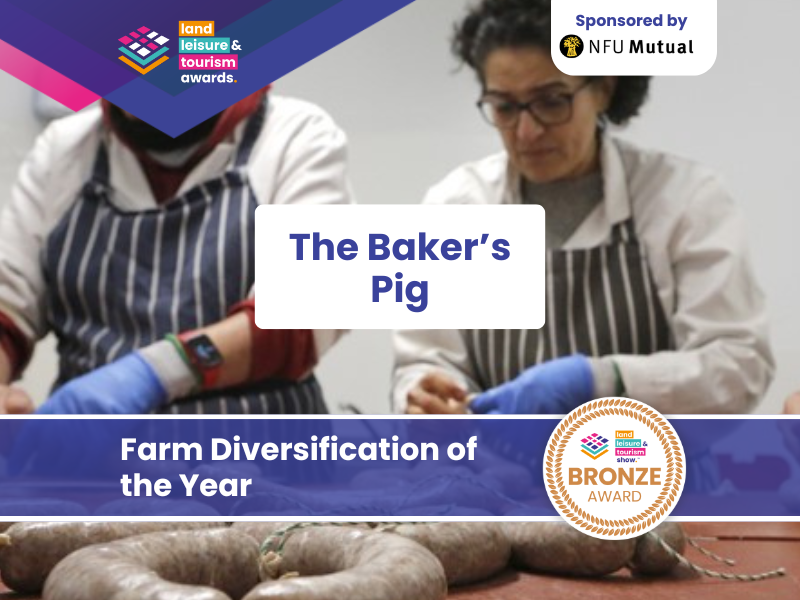 Bronze Winner - The Baker’s Pig  