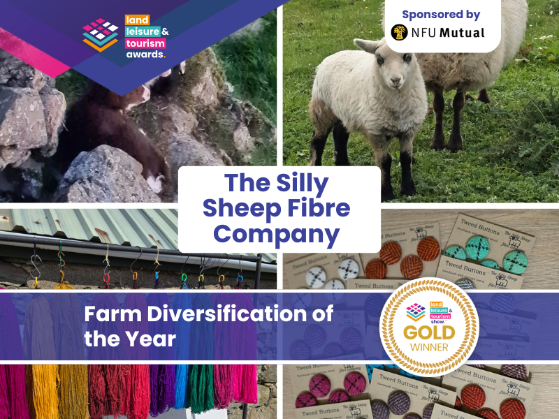 Gold winner – The Silly Sheep Fibre Company   Gold Winner