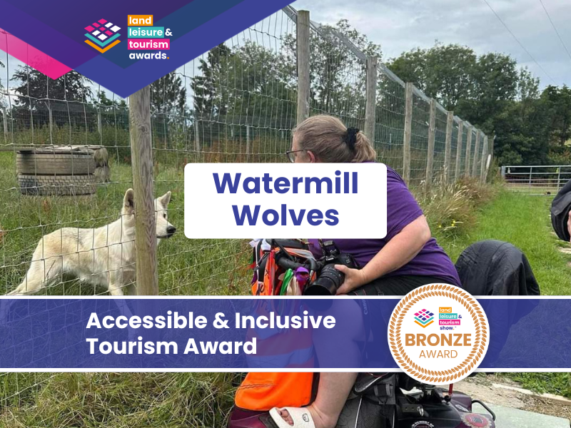 Bronze winner – Watermill Wolves