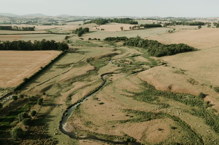 A New Opportunity in Ecotourism with Wild With Consent