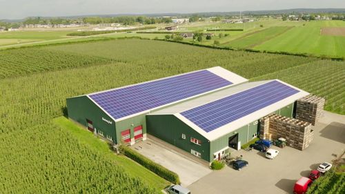 Powering the Future: The Surprising Solution to Save British Farms