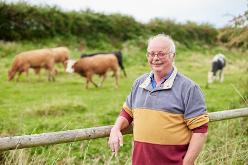 Farm stay diversification with Feather Down Farms