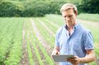 Carbon Auditing