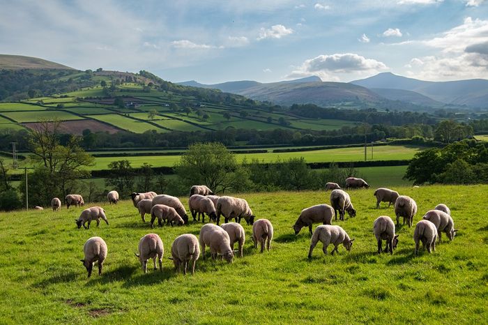 Agricultural Compliance