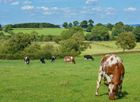 Agricultural Compliance