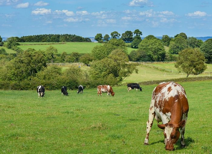 Agricultural Compliance