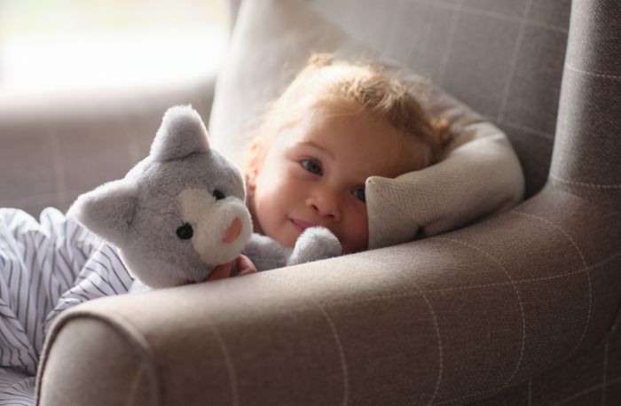Puddy Kitten Cloudy Grey M