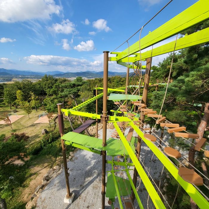 Sky Tour - zip courses