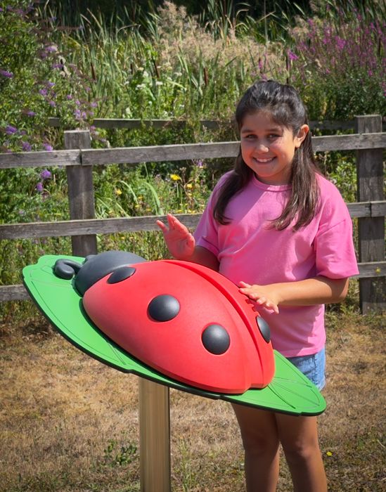 Nature-Inspired Play with Musical Charm