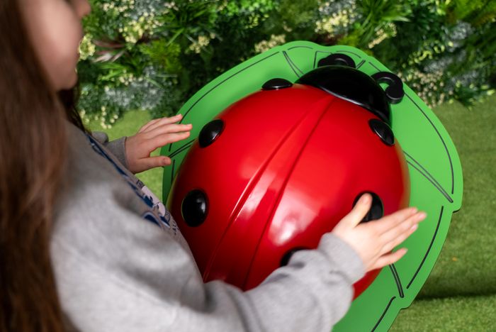 Nature-Inspired Play with Musical Charm