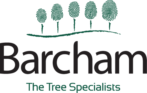 Barcham Trees