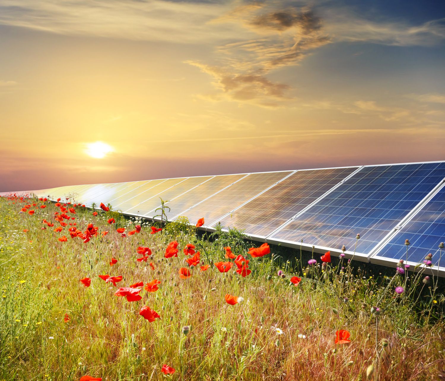 Quintas Cleantech
