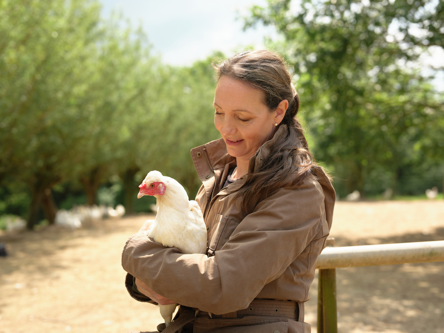 St Ewe Free Range Eggs
