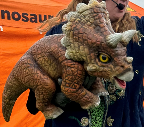 Lottie the Triceratops