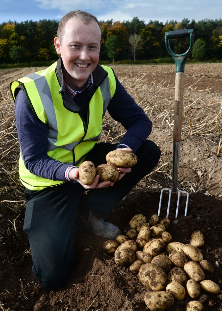 Crop4Sight app – designed to maximise your saleable potato crop yield