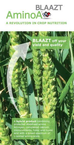 AminoA BLAAZT