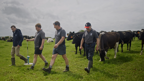 Get the most from your grassland as summer ends with Yara recommended grazing management