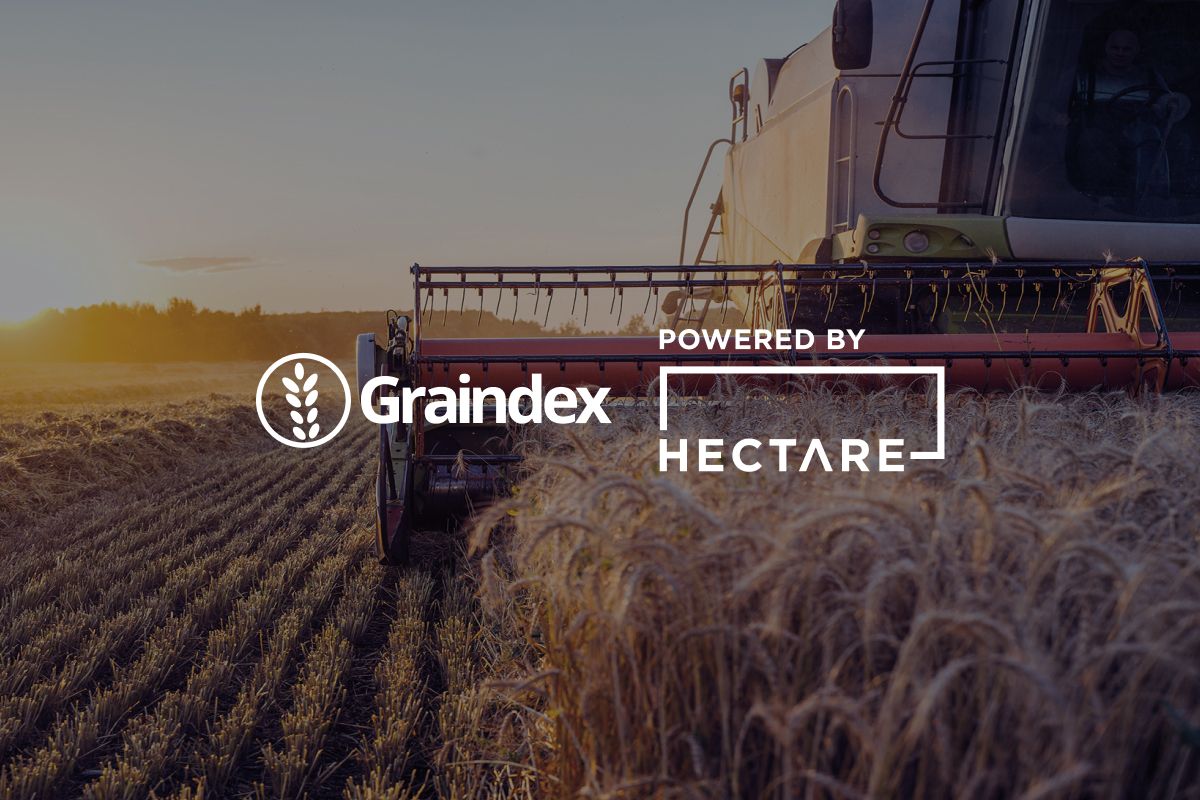 The Online Grain Trading Revolution: The Story of Graindex to Hectare