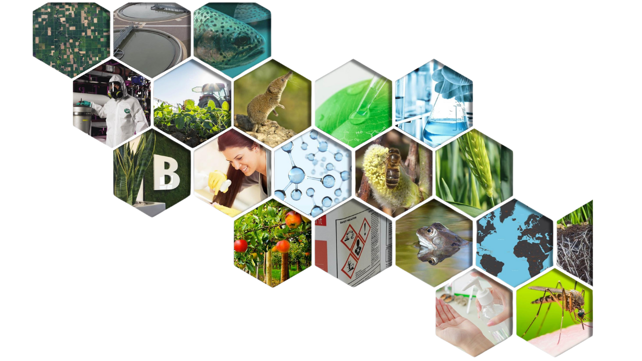 Barkwith Associates Ltd