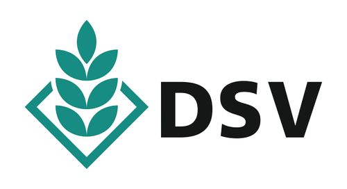 DSV