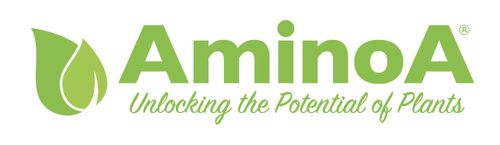 AminoA Ltd